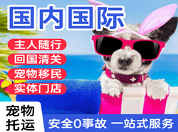 柳州机场货运国际宠物托运 【国